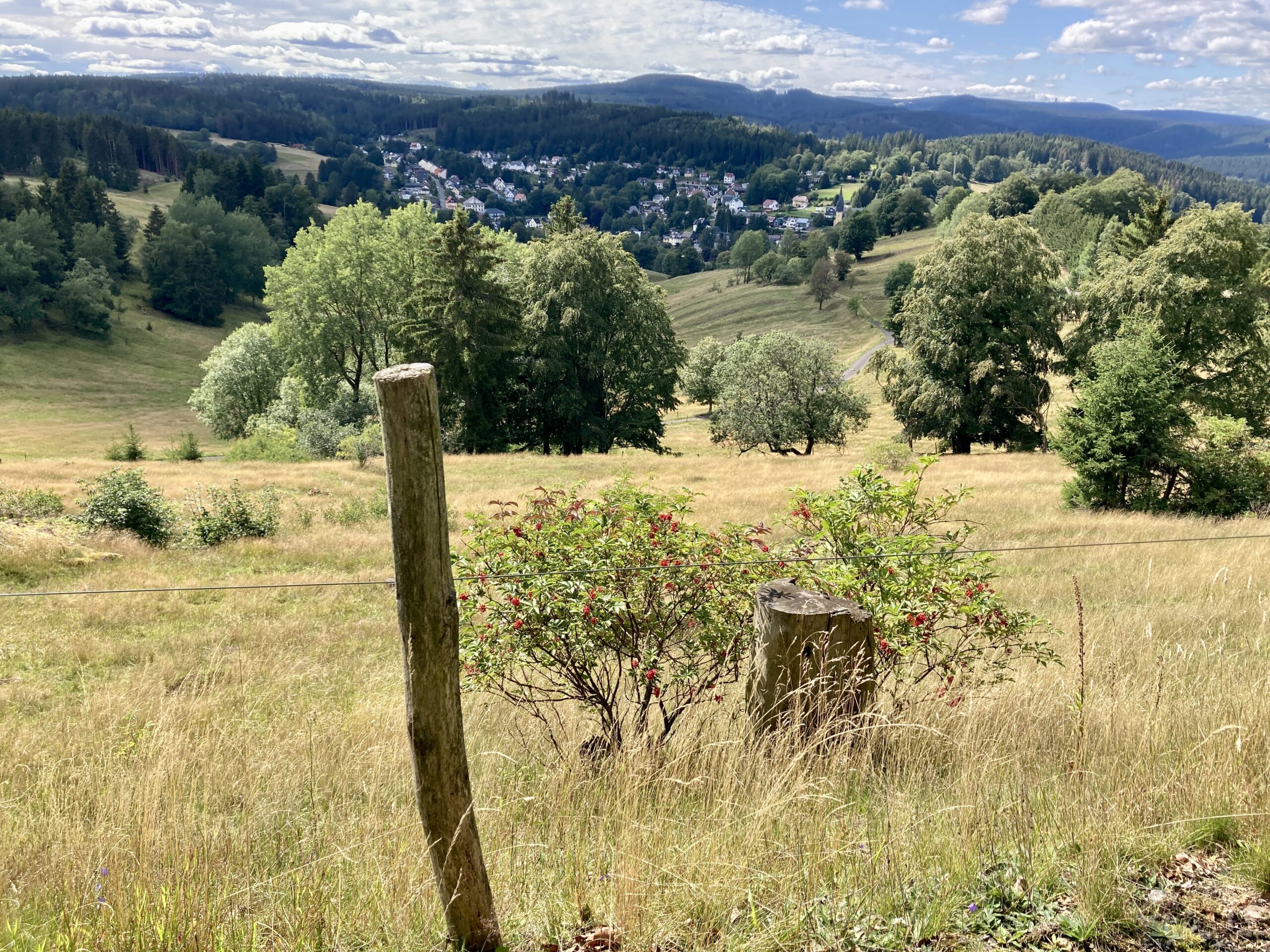 Sommerrunde 2023 – Über den Rennsteig